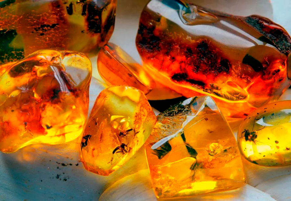 Камень янтарь — магические и лечебные свойства минерала, каких видов ицветов бывает