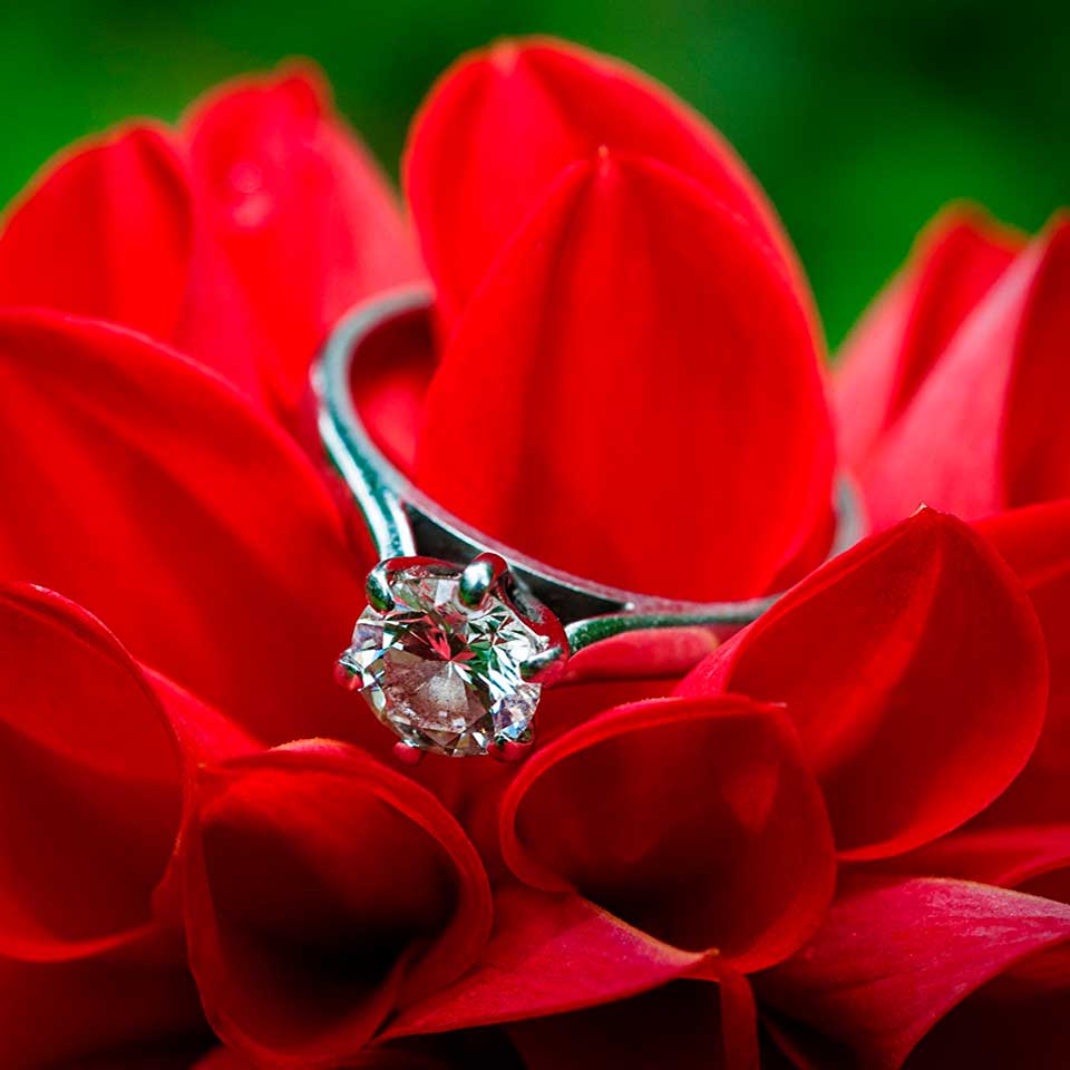 Фото кольца и цветов. Кольцо с бриллиантом. Кольцо цветок с бриллиантами. Красивое кольцо и цветы. Кольцо в цветах.
