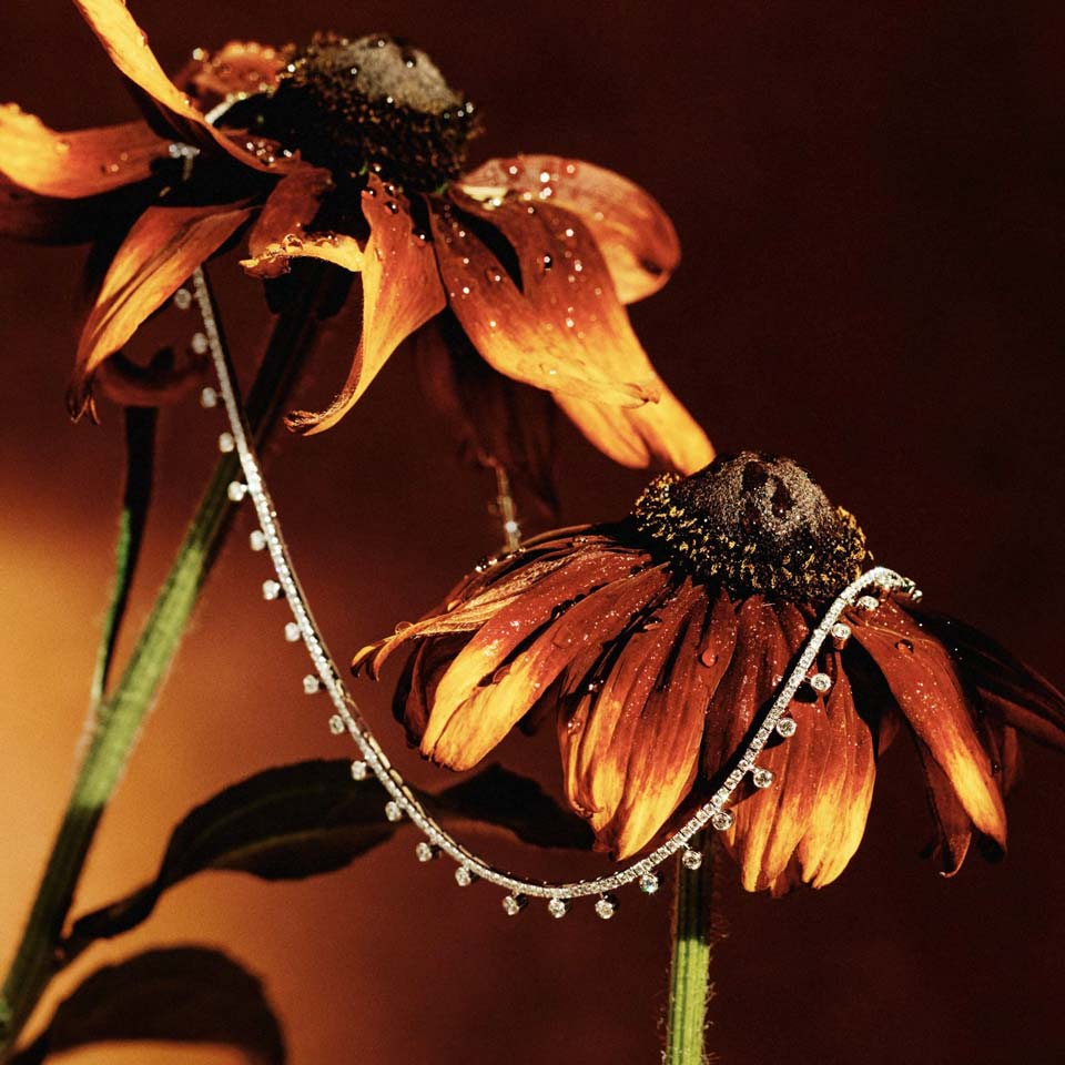 ��� �������� �������� �� 8 �����: ���� �������� �� ������������� ������� ����