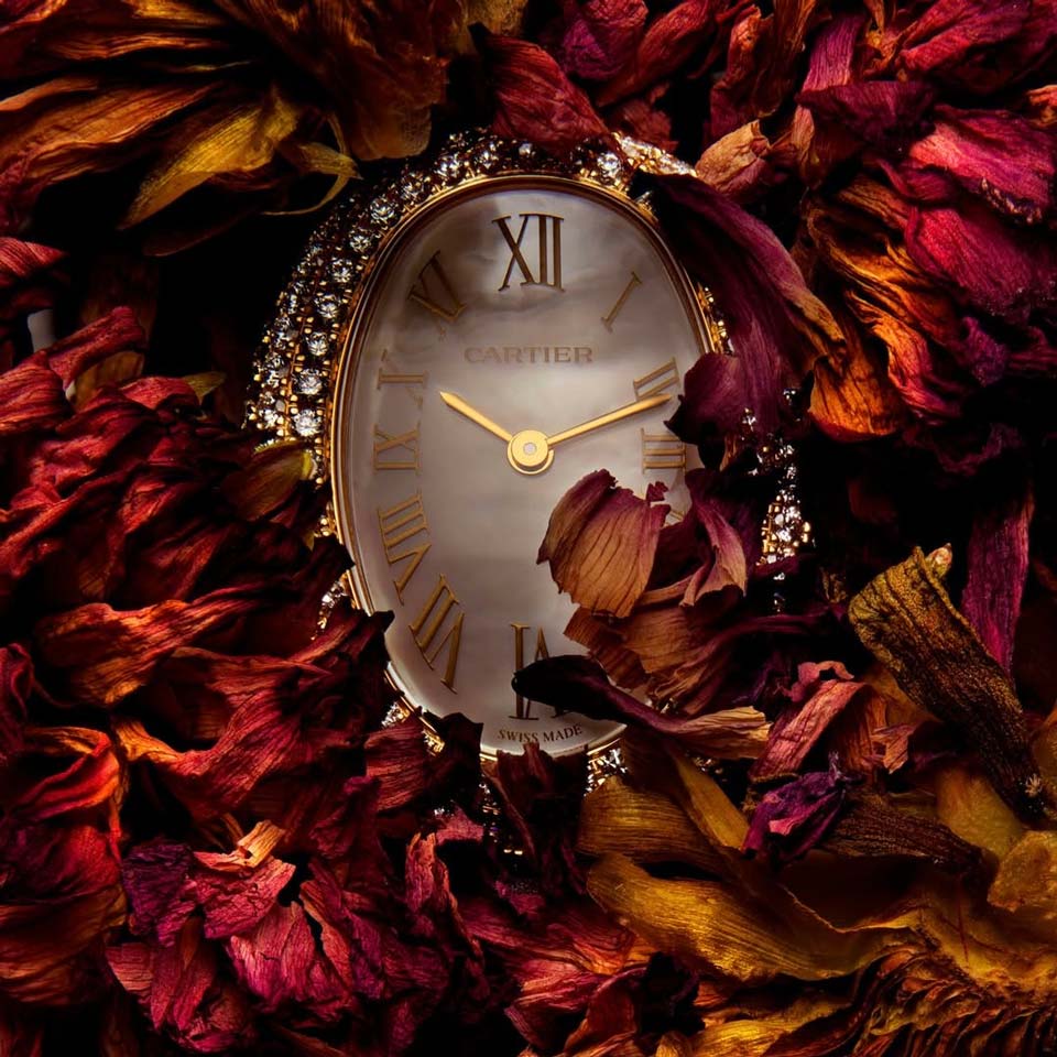 ����� �������� ������� ���� 2025 ����