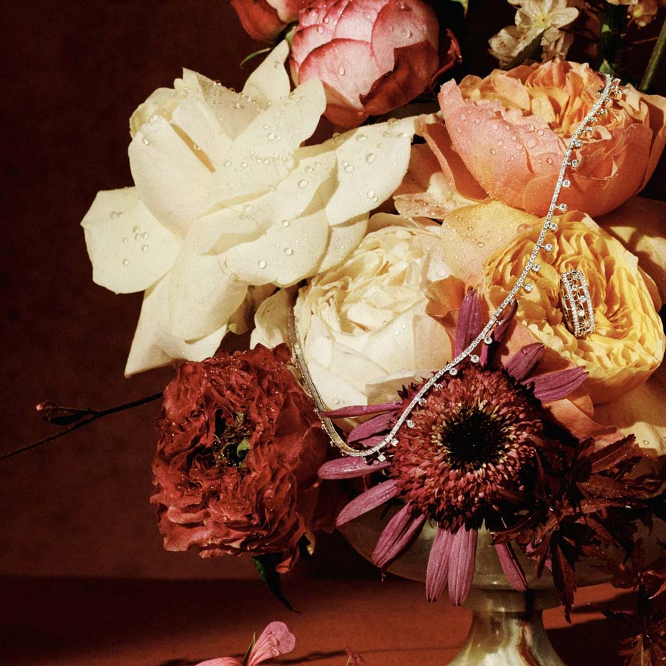 ������� ���� �� 14 �������: ��� ����������� ���������� ������� �� ���� ������� ���������