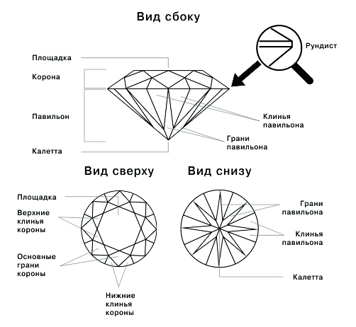 Строение ювелирного кольца схема