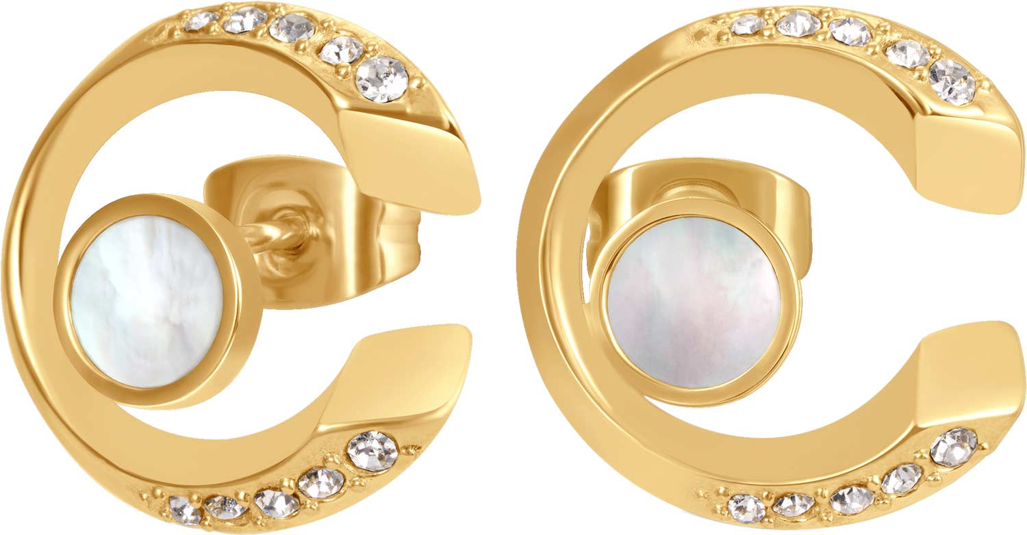 Стальные серьги пусеты-гвоздики Cerruti 1881 CIJLE0013001 с перламутром, кристаллами