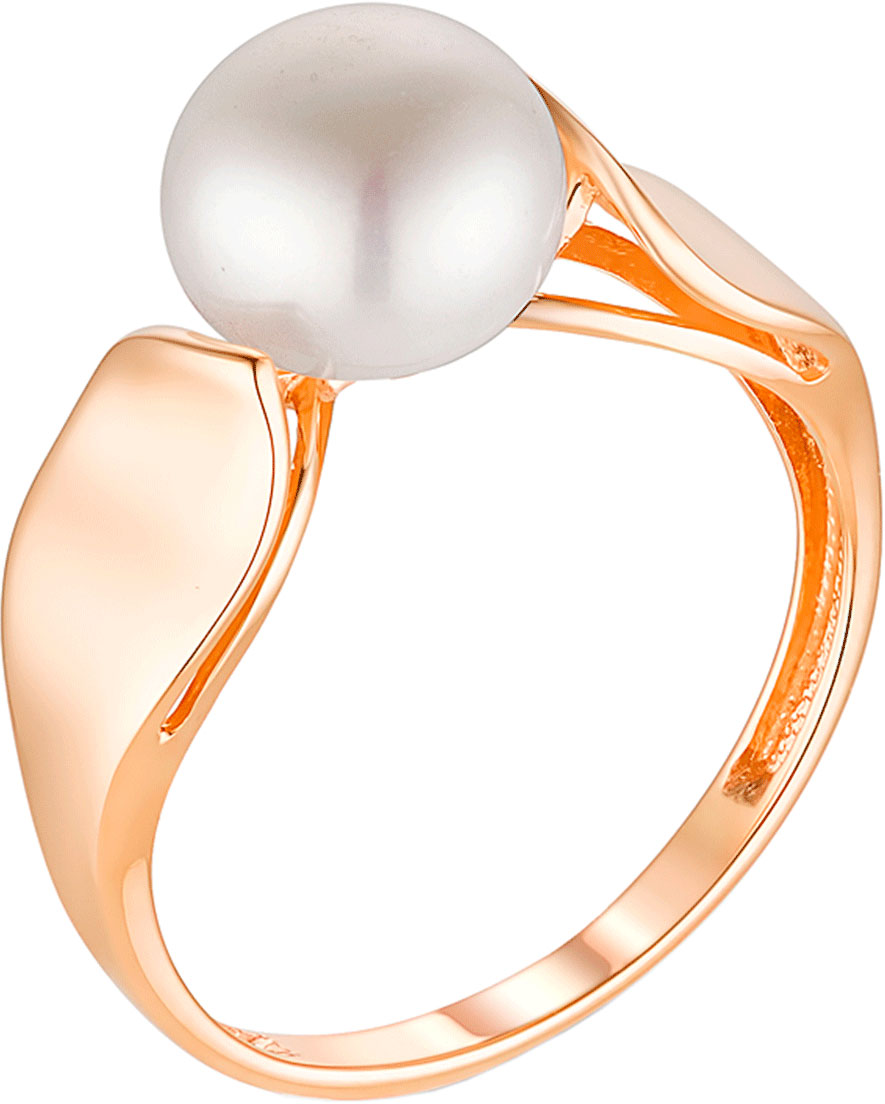   Contessa 11802704-g c 