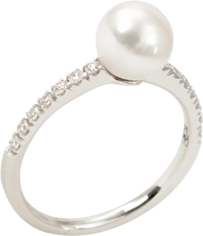 ������ �� ������ ������ Crivelli 234-5340-7/04050339 � ��������, ������������