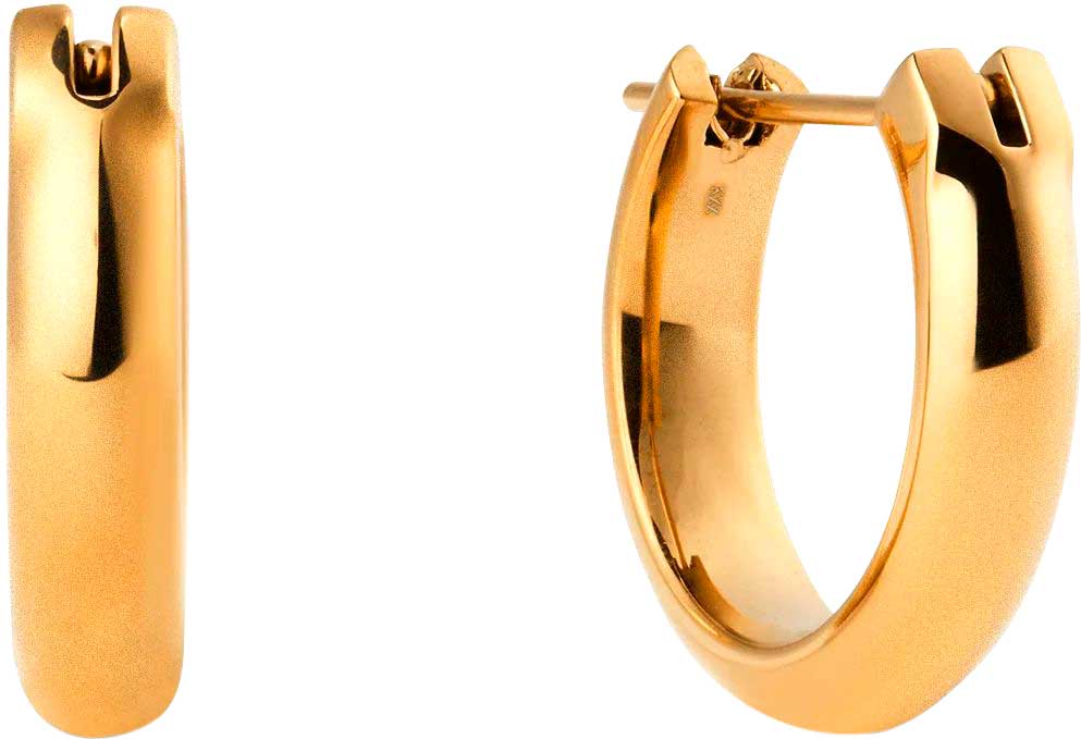 Стальные серьги кольца Daniel Wellington Classic-Arch-Earrings-12-3-5-G