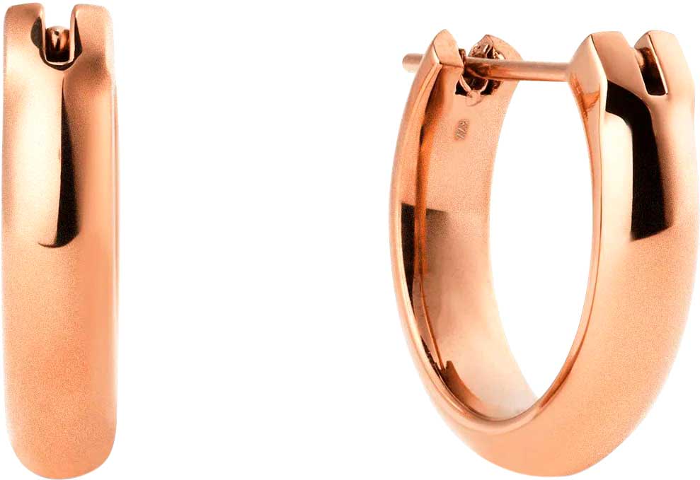 Стальные серьги кольца Daniel Wellington Classic-Arch-Earrings-12-3-5-RG