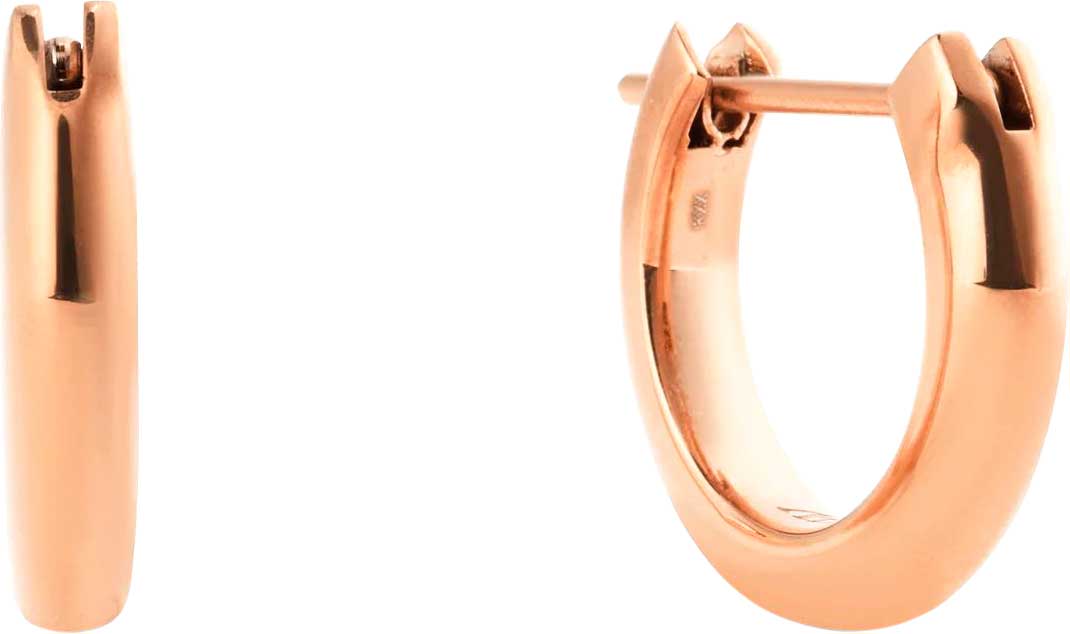�������� ������ ������ Daniel Wellington Classic-Arch-Earrings-9-2-5-RG