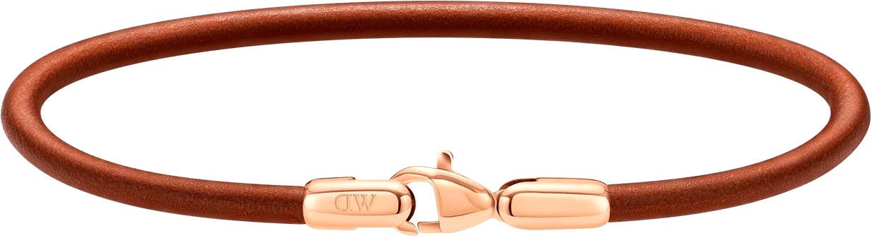    Daniel Wellington Leather-Bracelet-2-8-St-Mawes-RG