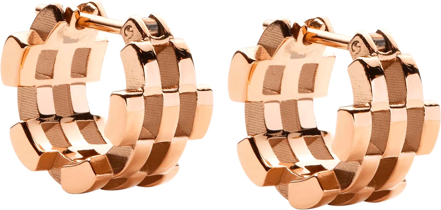    Daniel Wellington Link-Inspired-5-Rows-Earrings-RG