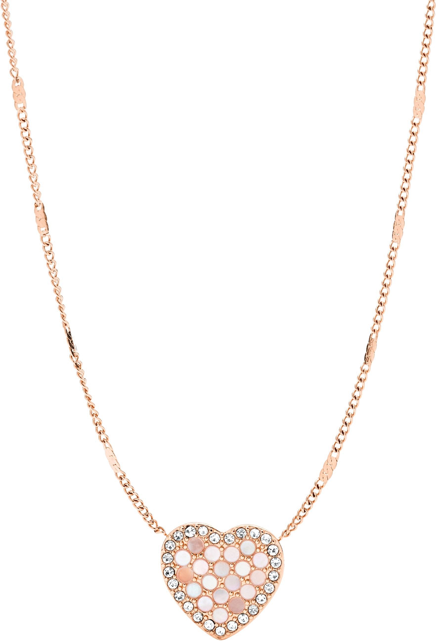 �������� ����� Fossil JF03164791 c ��������