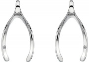 Серьги Hot Diamonds DE413
