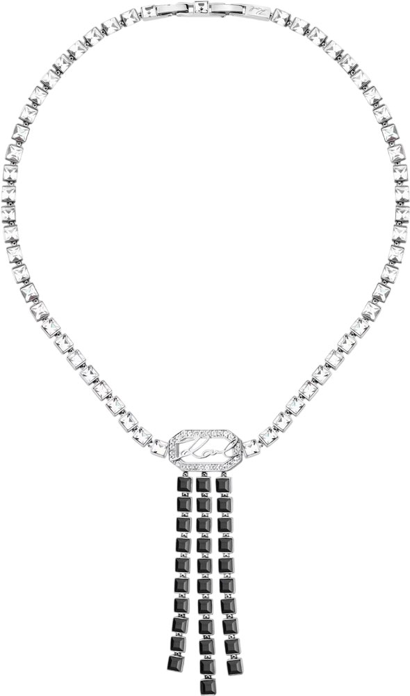 �������� ����� ������ KARL LAGERFELD KLAYC02 � �����������