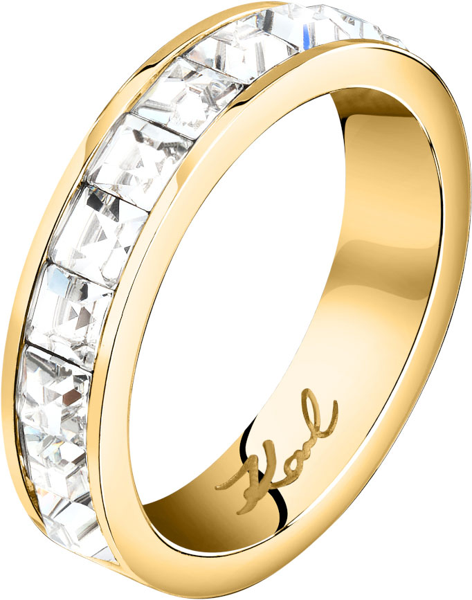 �������� ������ KARL LAGERFELD KLAYC48014 � �����������