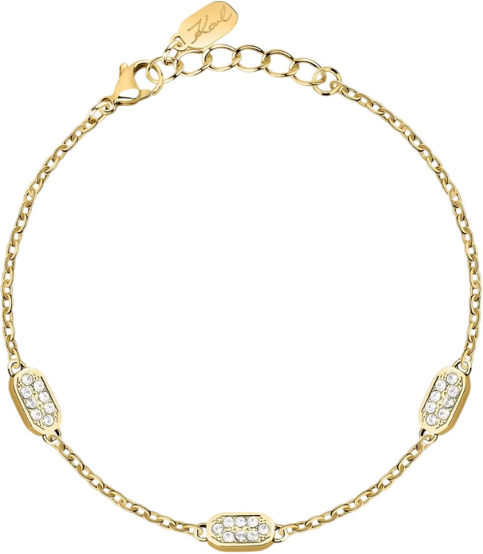 �������� ������� ���� KARL LAGERFELD KLAYC60 � �����������