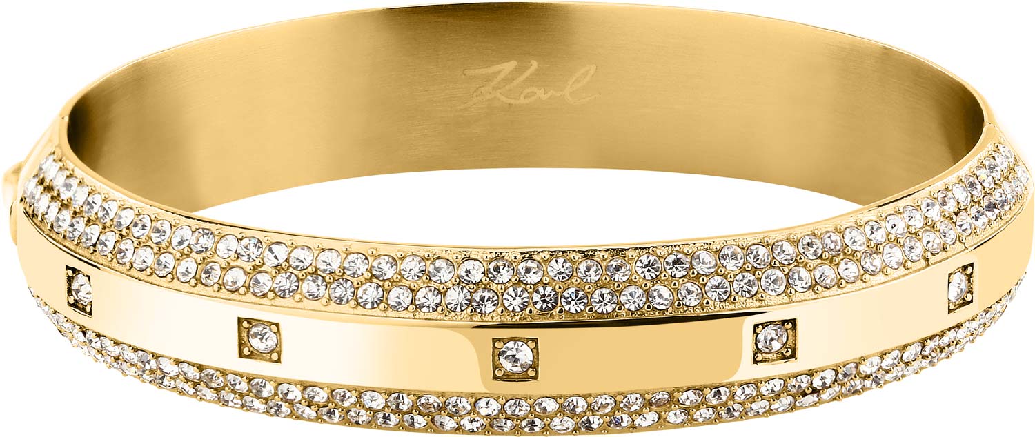�������� ������� ������� KARL LAGERFELD KLBJY03 � �����������