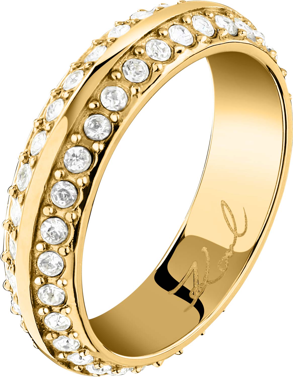 �������� ������ KARL LAGERFELD KLBJY11014 � �����������