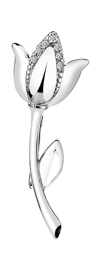 ������� ����� ''������'' ������ ��������� 8000006 � ���������