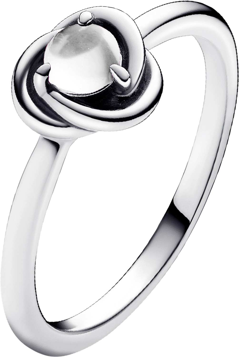 ���������� ������ ''���������� ���� �������������'' PANDORA Moments 192993C04 � ��������