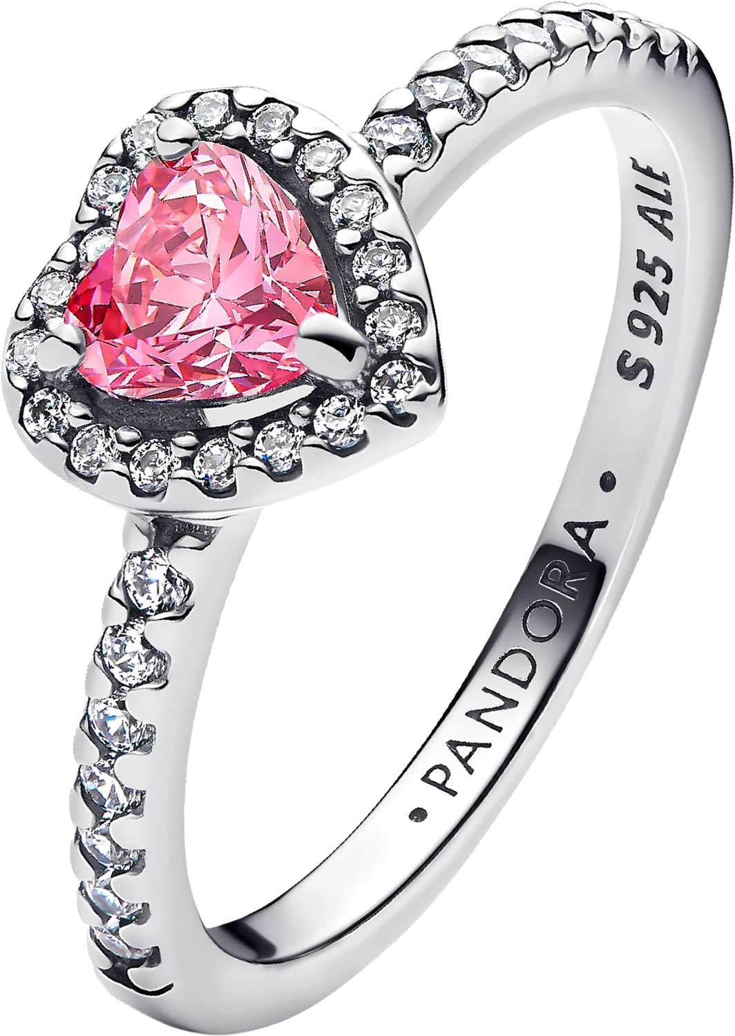 ���������� ������ ''������� ������'' PANDORA Timeless 198421C03 � ���������