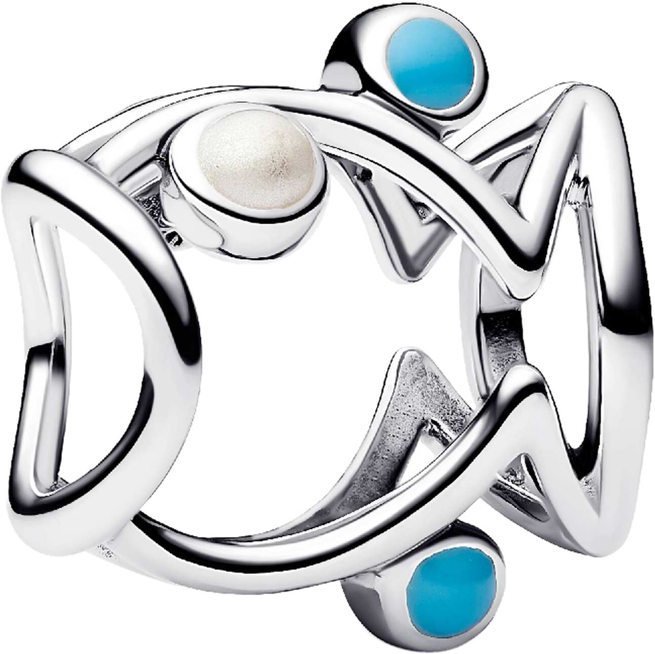 ���������� ���� ''������� �����'' PANDORA Moments 793819C01 � ������