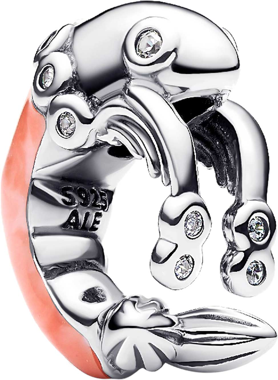 ���������� ���� ''��������'' PANDORA Moments 793896C01 � ������, ���������