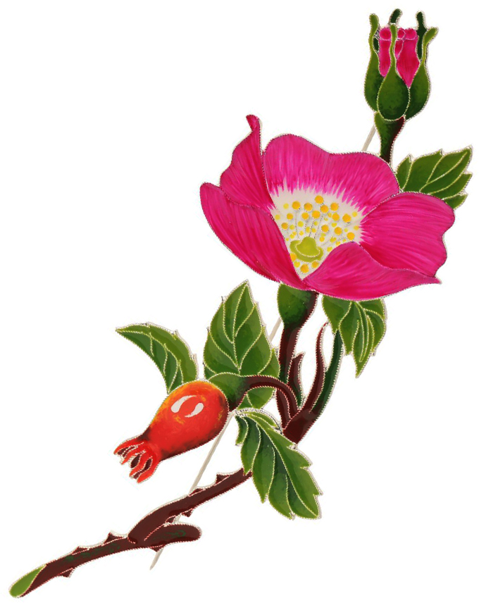 ���������� ����� ''��������'' ������� ��������� 41503 � ������