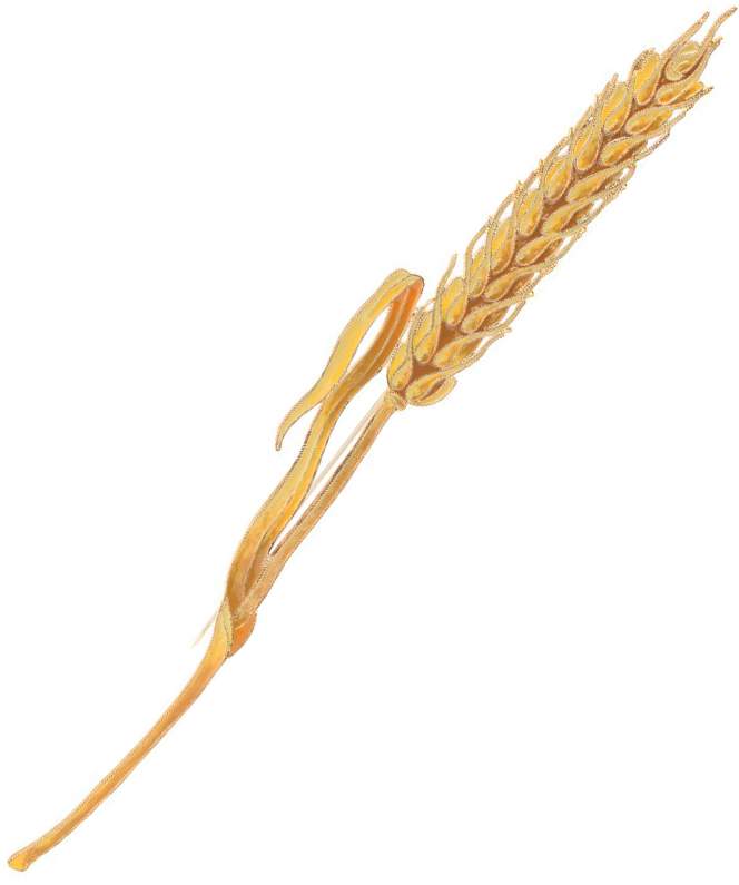 ���������� ����� ''�������'' ������� ��������� 41580 