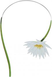 Колье Русские Самоцветы 41723-rs