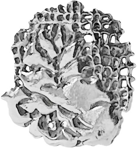   '''' SBLESKOM 12124-sb