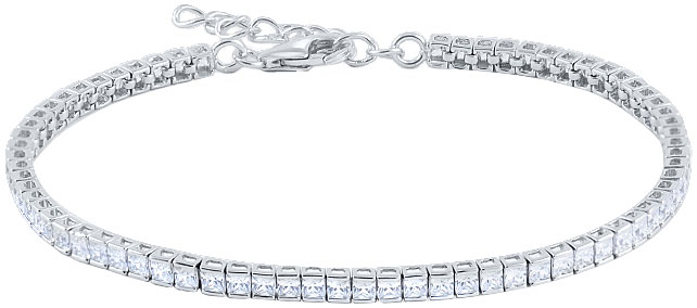   Silver Wings 04TS048-202   