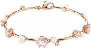  Swarovski 5729505