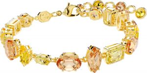 ������� Swarovski 5754260