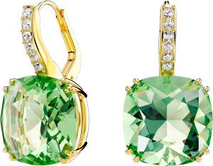 ������ Swarovski 5764822