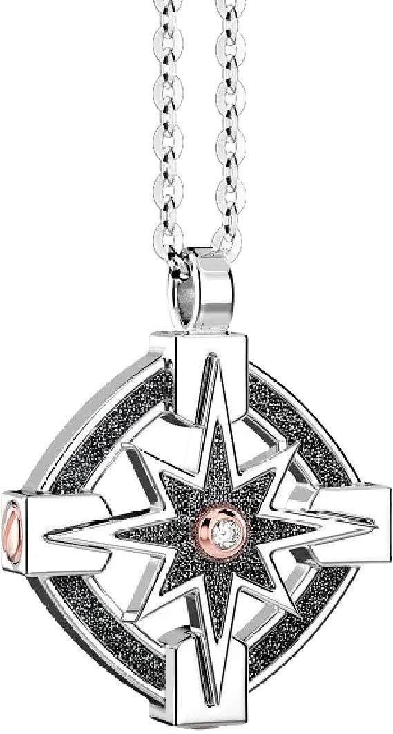     '' '' Zancan ESC162R  , ,  