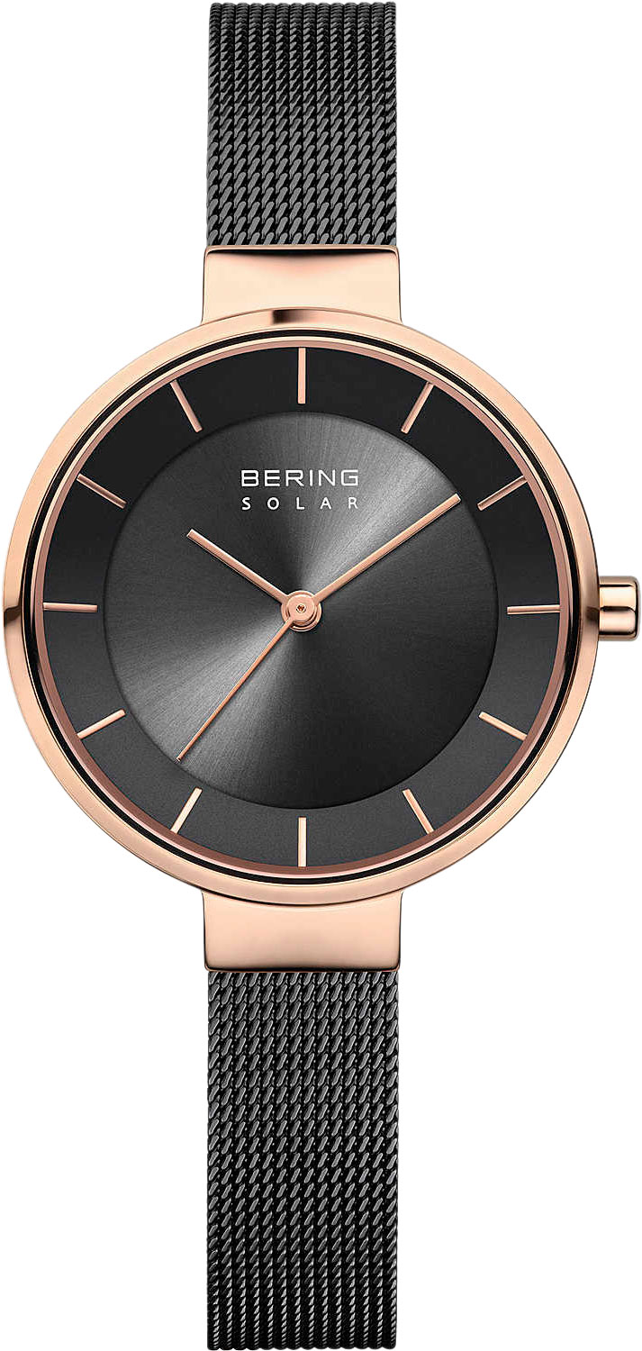   Bering ber-14631-166
