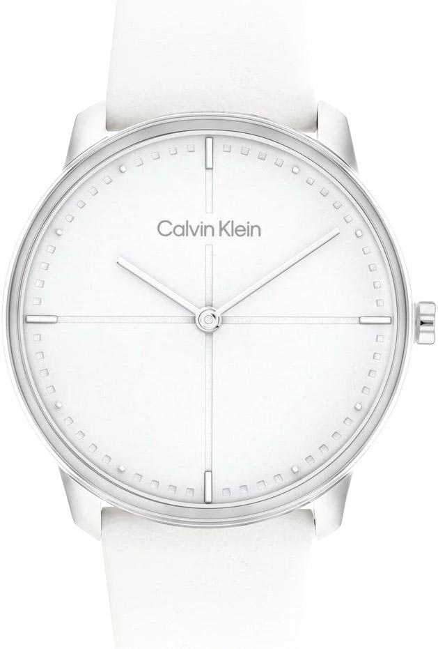 Наручные часы Calvin Klein 25200161