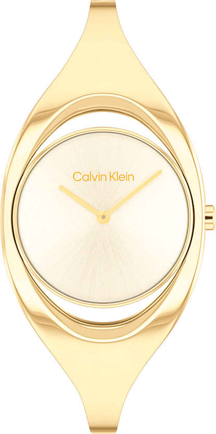 Наручные часы Calvin Klein 25200422-ucenka