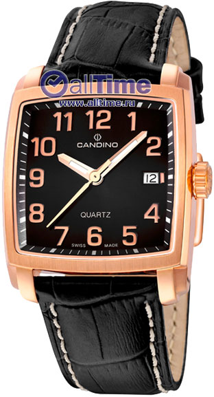 Швейцарские наручные часы Candino C4373_5