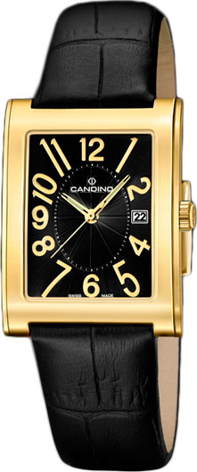 Швейцарские наручные часы Candino C4461_2