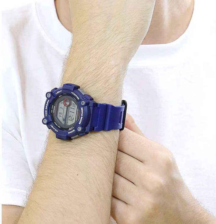 Наручные часы Casio Collection WS-1300H-2A — купить в интернет-магазине  AllTime.ru по лучшей цене, фото, характеристики, описание