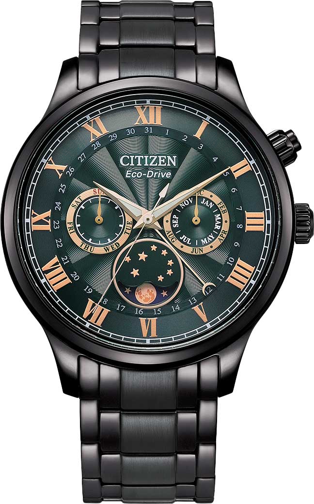    Citizen AP1055-87X