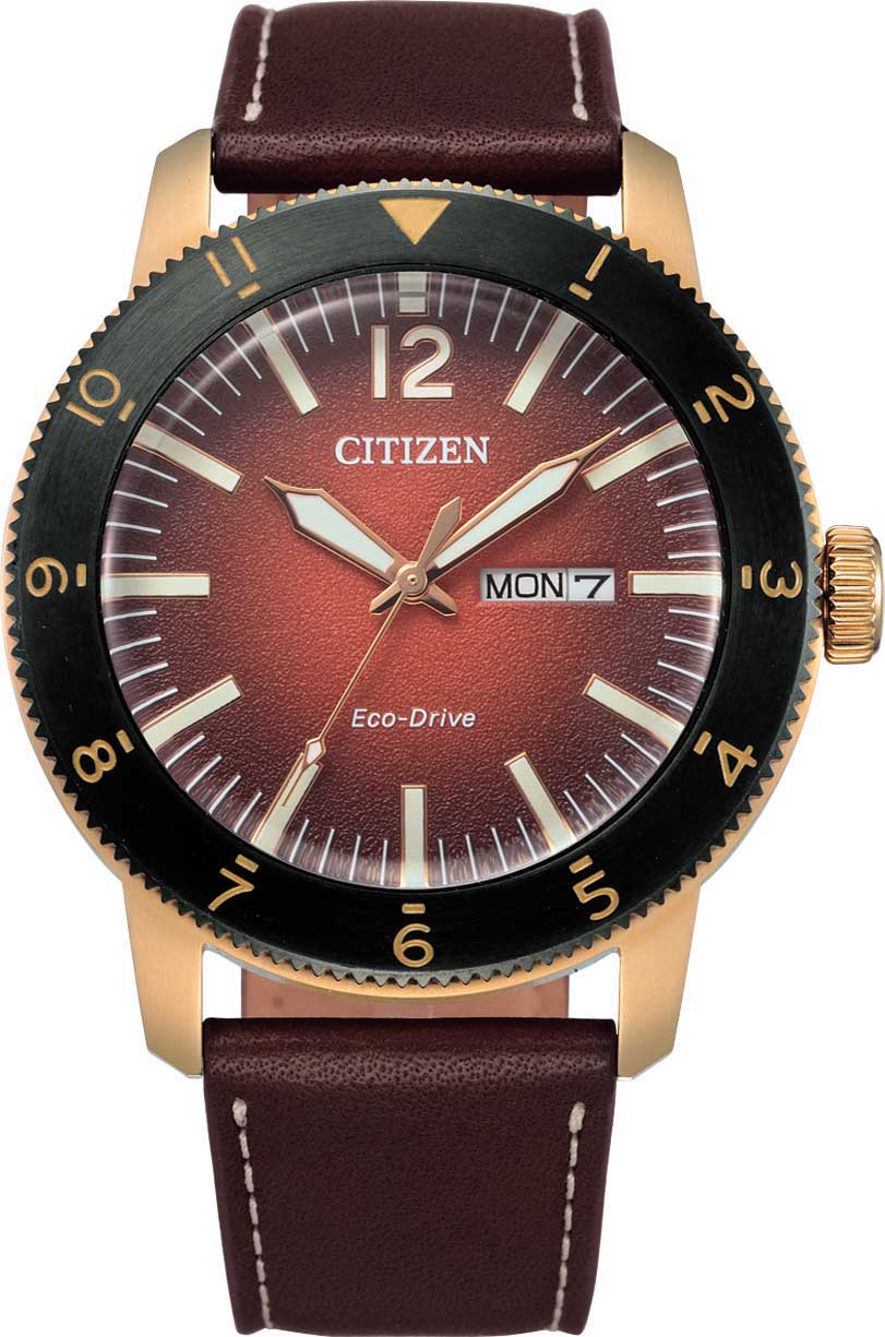 �������� �������� ���� Citizen AW0079-13X