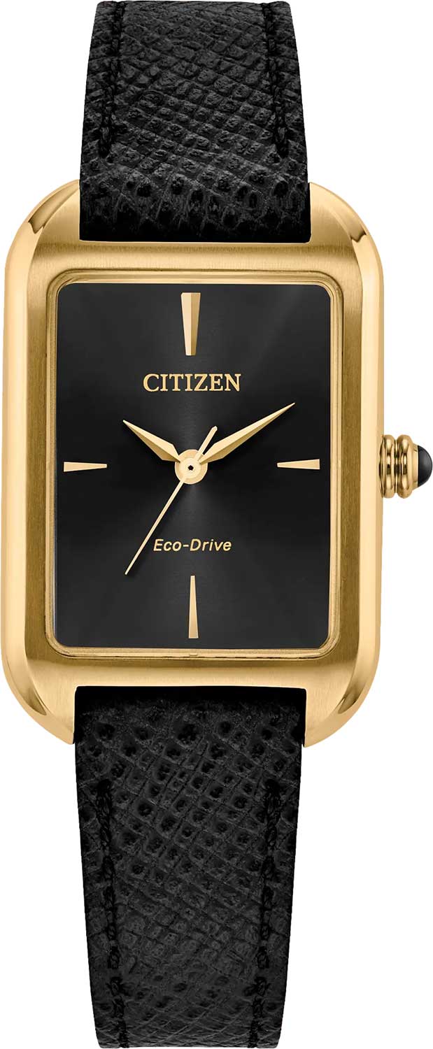�������� �������� ���� Citizen EM1192-01E