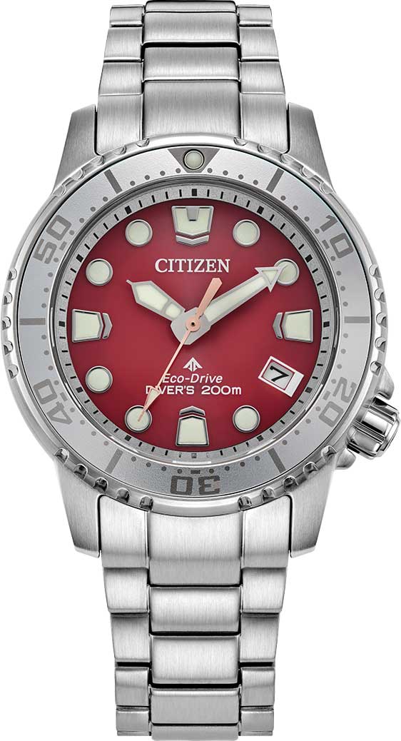 �������� �������� ���� Citizen EO2027-50Z