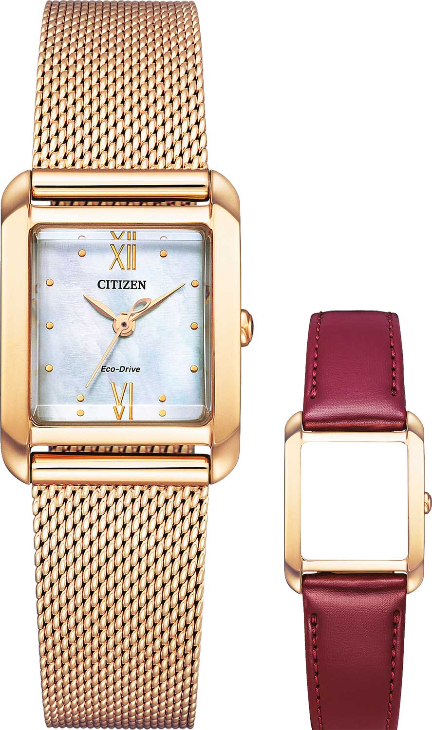 �������� �������� ���� Citizen EW5593-64D