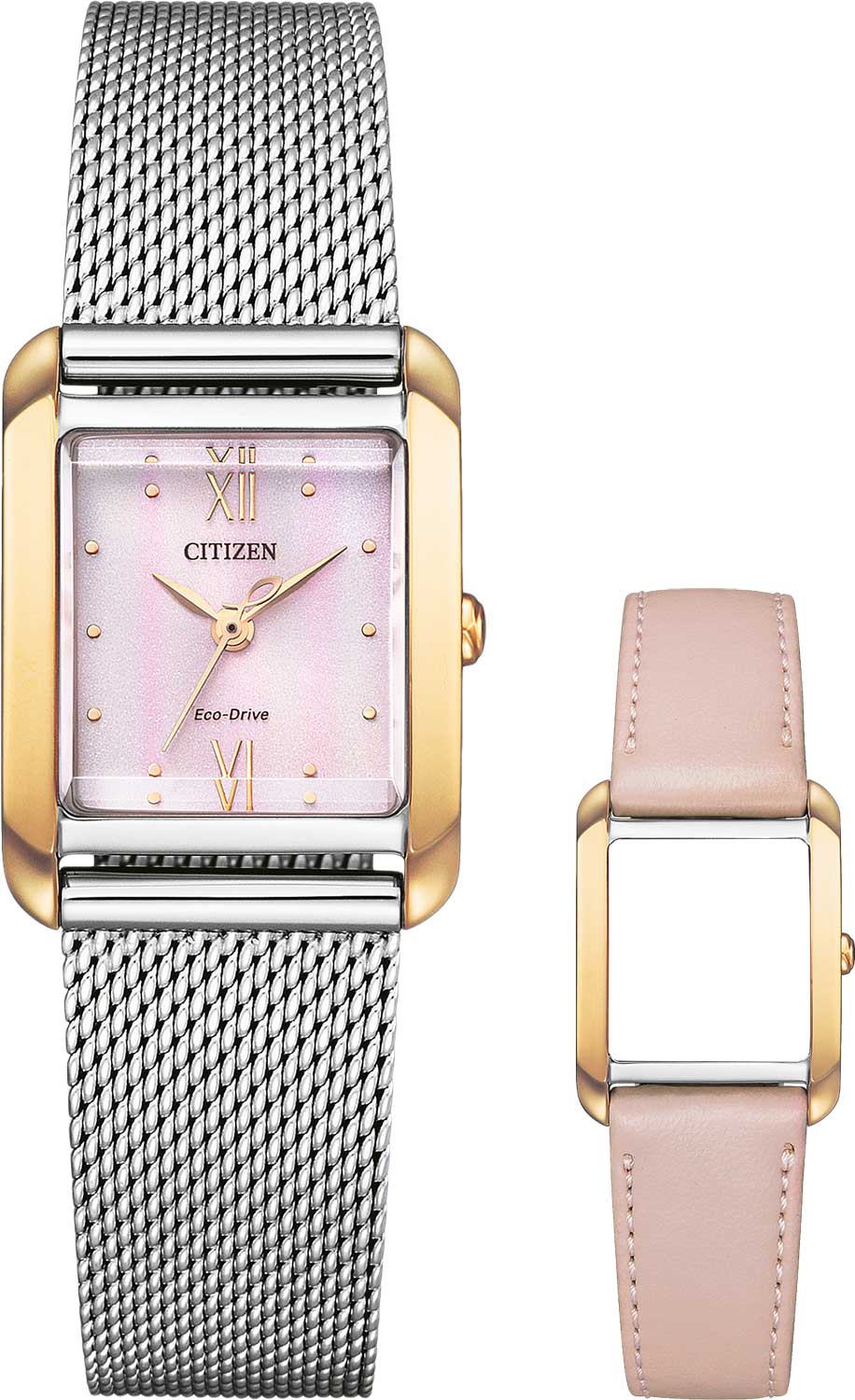 �������� �������� ���� Citizen EW5596-66X