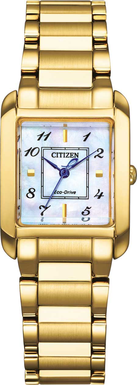    Citizen EW5602-81D