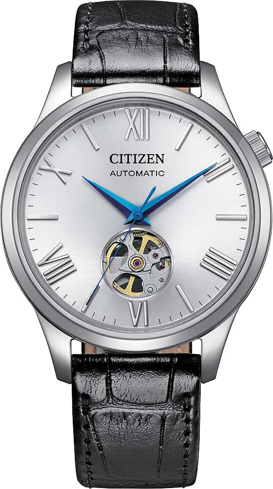 �������� ������������ �������� ���� Citizen NH9138-15A