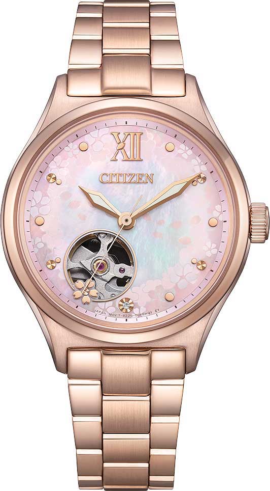�������� ������������ �������� ���� Citizen PC1015-59W